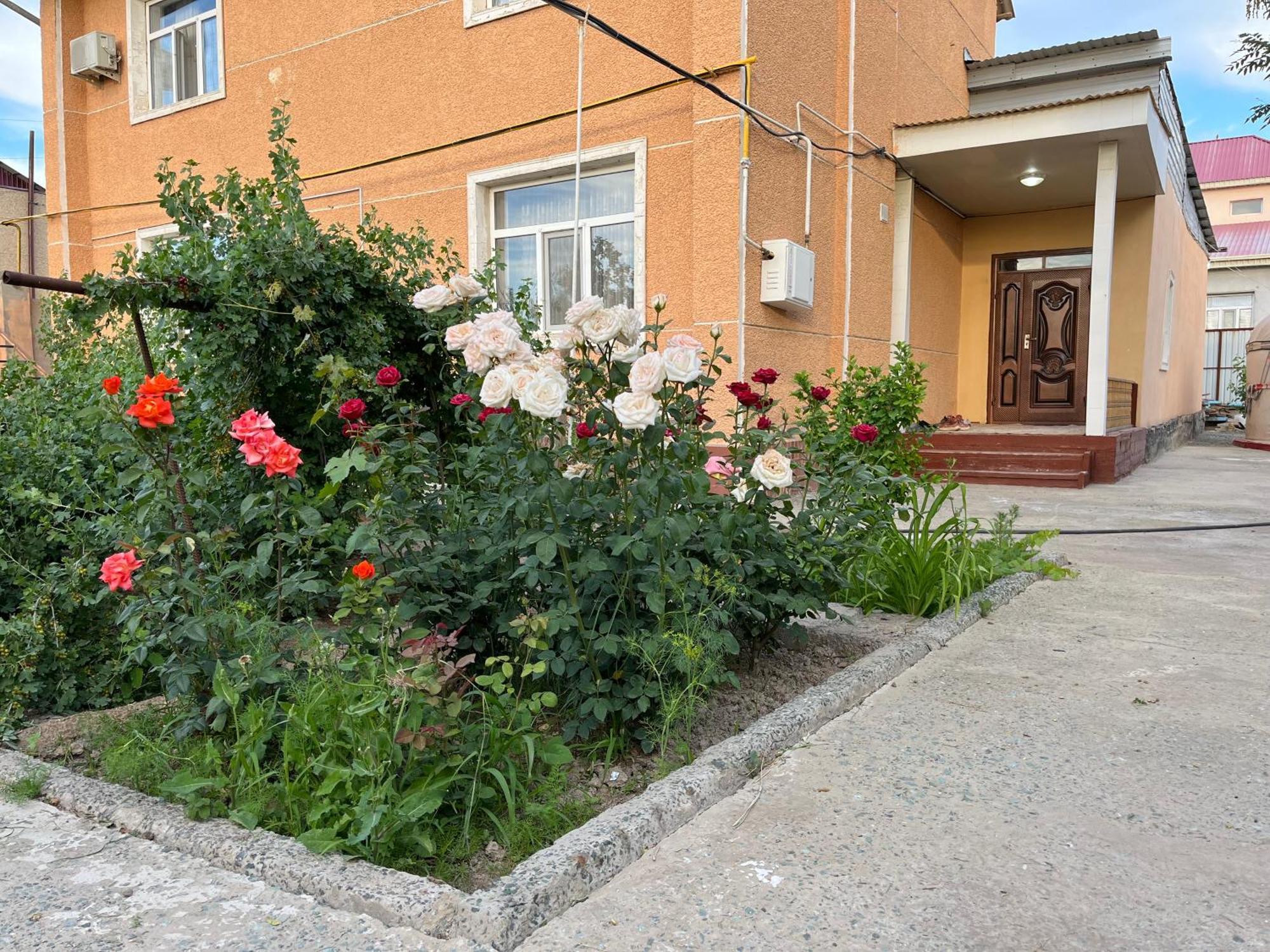 Nukus Guest House ภายนอก รูปภาพ